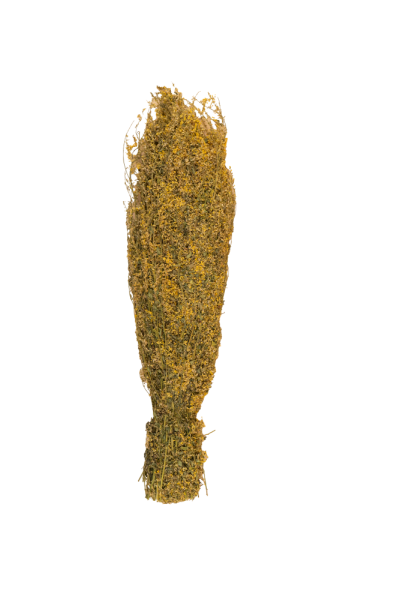 Травы для бани Woodson, донник